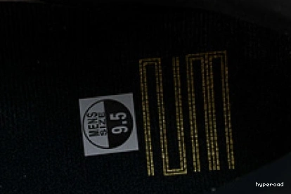Hyperoad “DMP” Air Jordan 11 0805